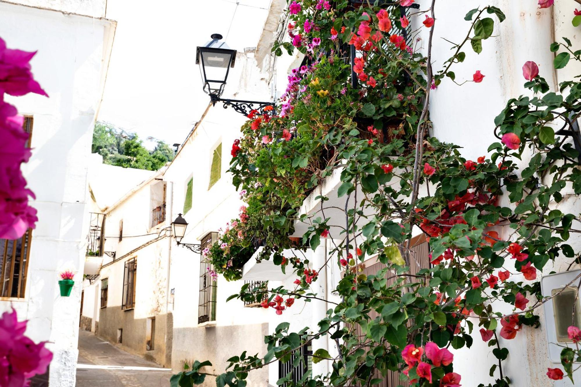 Alpujarra Relax Carataunas Buitenkant foto